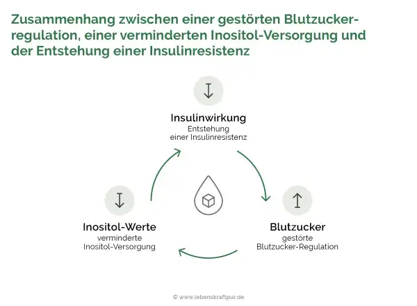 Diagramm zeigt den Kreislauf: verminderte Inositol-Werte beeinflussen die Insulinwirkung und Blutzuckerregulation, was zu Insulinresistenz führt. Die inositol wirkung ist hier zentral.