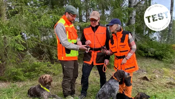 Tre jägare i orange västar med hundar i skogen. En hundförarväst bäst i test för säker jakt.