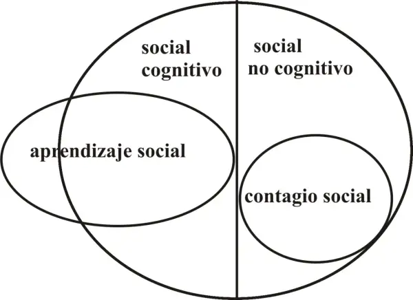 Diagrama de Venn que ilustra el aprendizaje social, dividiendo los conceptos en "social cognitivo" y "social no cognitivo", con "contagio social" como subcategoría.