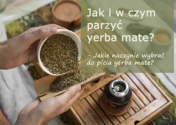 Wsypywanie suszu yerba mate, zioła leczniczego, do naczynia. Obok stoi już przygotowana tykwa z bombillą.