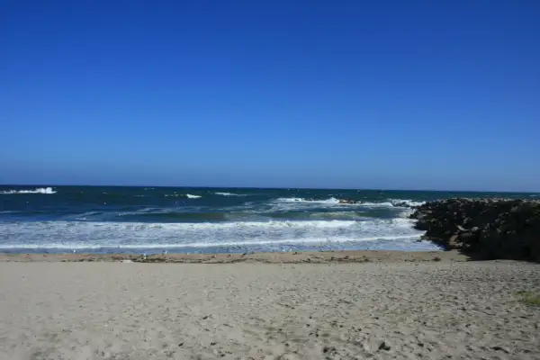 Arena dorada, mar azul y olas rompiendo en esta playa marosa. Gaviotas pasean tranquilas.