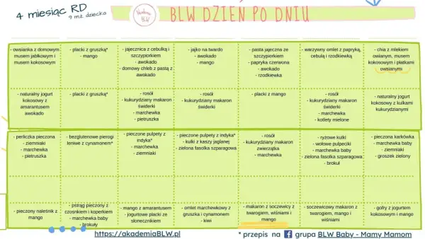 Jadłospis BLW dla 9-miesięcznego dziecka: rozszerzanie diety, ile posiłków dziennie. Propozycje dań na cały dzień.