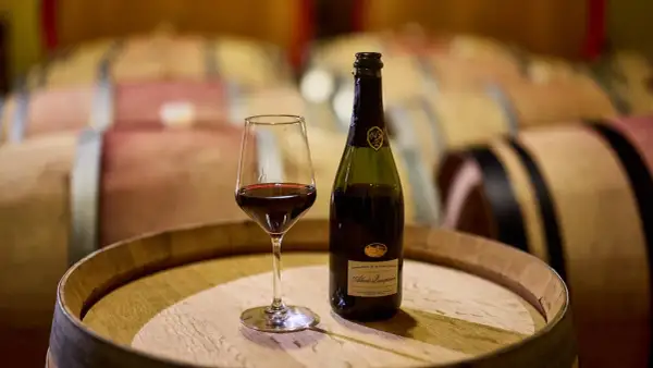 Calice di vernaccia serrapetrona e bottiglia su una botte di legno, con botti in cantina sullo sfondo.