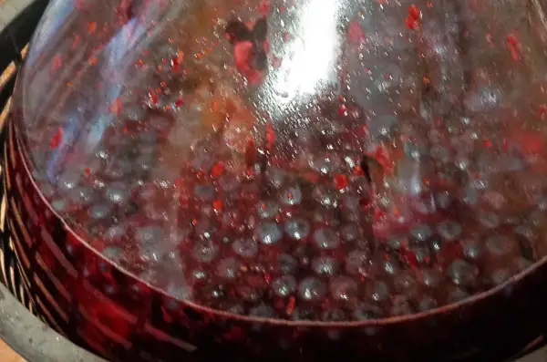 Fermentujący wino wieloowocowe przepis. Widoczne owoce i bąbelki w szkle.
