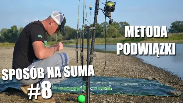 Jak skutecznie zbroić żywca na suma, unikając typowych błędów