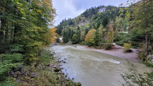 Herbstliche Farben säumen den Weg bei der entenlochklamm wanderung. Ein breiter Fluss fließt durch eine bewaldete Schlucht mit felsigen Hängen.