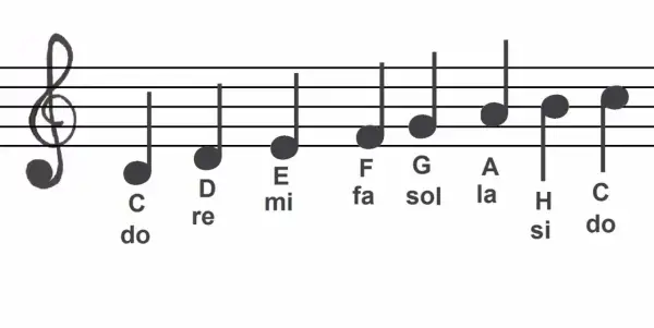 Jak wyglądają nuty na pięciolinii i co oznaczają w muzyce