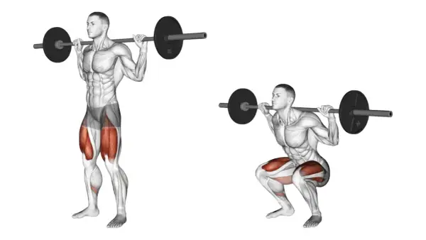 Homme effectuant un squat avec barre, montrant le squat muscle sollicité.