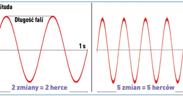 Dwie fale sinusoidalne, jedna o niższej częstotliwości (2 zmiany = 2 herce) i jedna o wyższej (5 zmian = 5 herców), ilustrujące pojęcie emf.