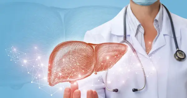 Lekarz hepatolog prezentuje schemat wątroby, symbolizujący diagnostykę i leczenie chorób tego narządu.