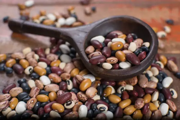 Un cucchiaio di legno trabocca di fagioli secchi misti, pronti per la cottura. Un mix colorato di varietà per un piatto saporito.