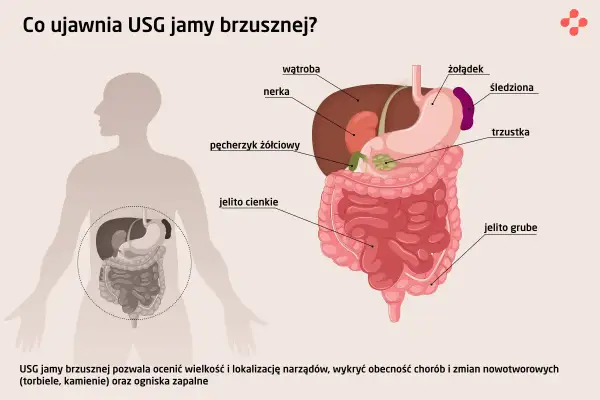 USG jamy brzusznej co wykrywa: wątrobę, nerki, żołądek, jelita, trzustkę, pęcherzyk żółciowy. Pomaga ocenić narządy i wykryć choroby.