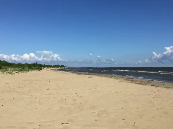 Mikoszewo ile do morza? Sprawdź, jak łatwo dojść do plaży
