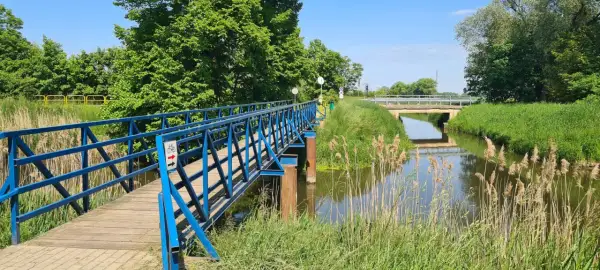 Błękitny mostek dla rowerzystów i pieszych nad kanałem na Żuławach Wiślanych. W tle widać kolejny most i bujną zieleń.