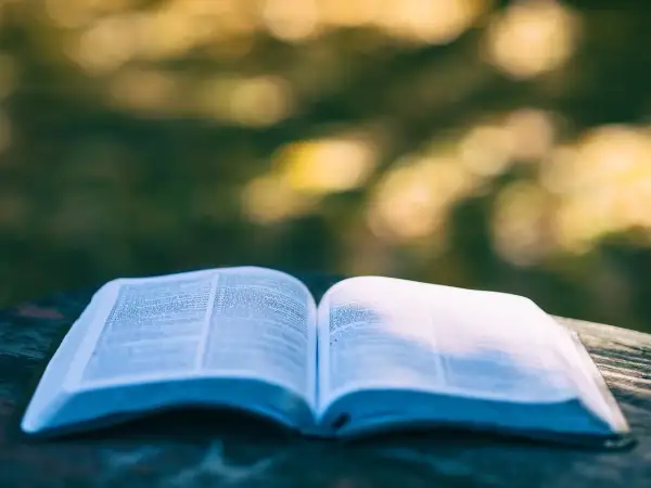 Literatura kobieca: odkryj emocje i siłę w kobietach piszących