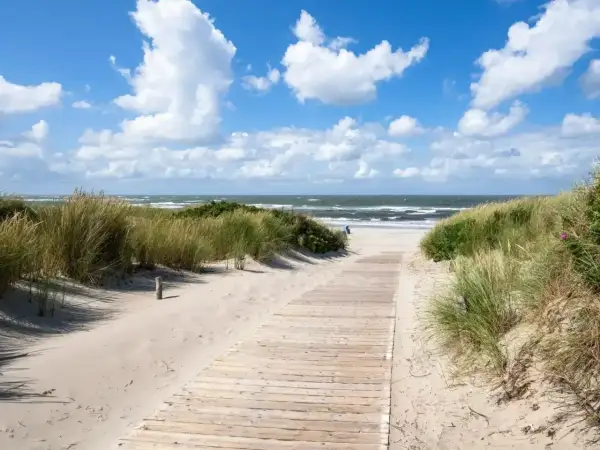 Ścieżka przez wydmy prowadzi na piaszczystą plażę. Idealne miejsce, gdzie na wakacje w sierpniu, z szumem fal i błękitem nieba.