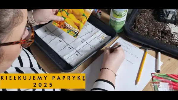 Jak głęboko siać paprykę, aby zapewnić udane kiełkowanie?