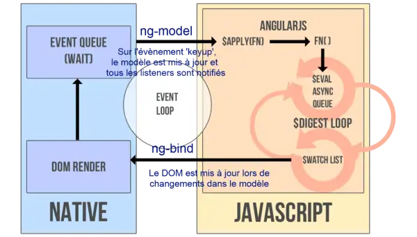 Schéma expliquant le fonctionnement d'AngularJS, avec l'event loop, le DOM render et le digest loop.