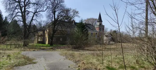 Opuszczony pałac w Torzymiu, z charakterystyczną wieżą, otoczony dziką roślinnością.