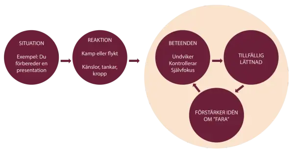 Schema visar hur en situation (t.ex. presentation) leder till reaktion (kamp/flykt, känslor) och beteenden (undviker, kontrollerar) som ger tillfällig lättnad, men förstärker idén om fara. Kan liknas vid panikångest av alkohol.