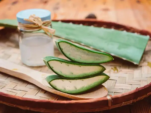 Tranches d'aloe vera sur une cuillère en bois, prêtes à soulager un coup de soleil. Gel d'aloe vera dans un pot à côté.