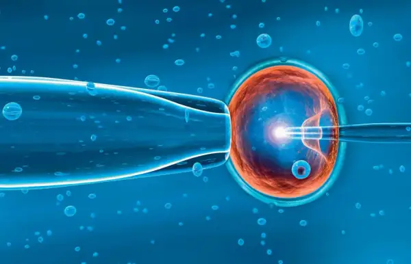 Inseminacja komórki jajowej metodą in vitro. Czy in vitro to grzech? Pytanie o etykę i moralność tej metody wspomaganego rozrodu.
