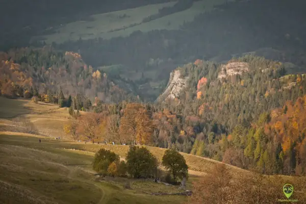 Jesienny szlak na wysoką, z barwnymi drzewami i ludźmi spacerującymi po zboczu.