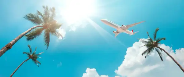 Samolot leci na tle błękitnego nieba z palmami, jakby to był bilet lotniczy na wakacje.