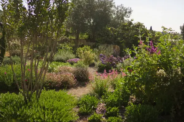 Un prado de flores vibrantes con tonos rosados, morados y blancos, rodeado de vegetación exuberante y árboles frondosos.