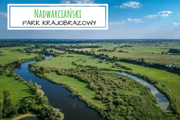 Malowniczy krajobraz nadwarciański park krajobrazowy z krętą rzeką, zielonymi łąkami i lasami w tle.
