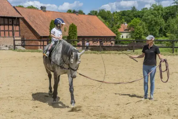 Stadnina koni w Markach - najlepsze miejsca na jazdę konną i opiekę