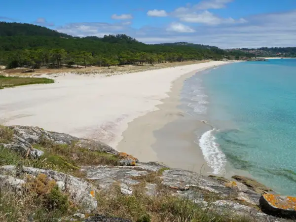 Vista panorámica de la playa del medio, con arena blanca, aguas turquesas y pinos verdes.