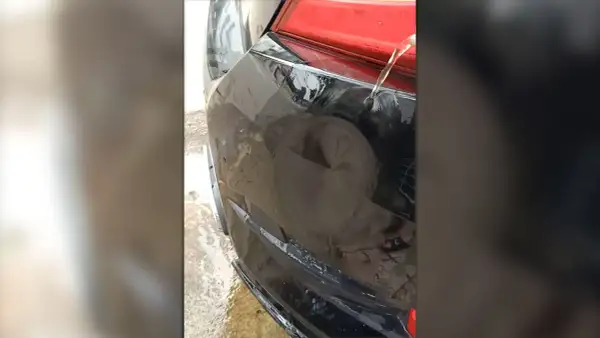 Usuwanie wgnieceń gorącą wodą na czarnym zderzaku samochodu. Woda spływa po uszkodzonym fragmencie.