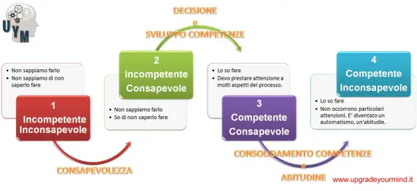 Diagramma dei 4 stadi dei processi di apprendimento: dall'incompetenza inconsapevole alla competenza inconsapevole, passando per la consapevolezza.