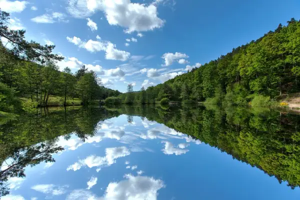 Spiegelglatter See im Schwarzwald, umgeben von üppigen Wäldern. Ein friedlicher Ort, der an geheime Orte im Schwarzwald erinnert.