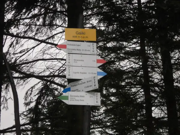 Tablica z drogowskazami PTTK na trasie do Hrobaczej Łąki, prowadząca przez las.