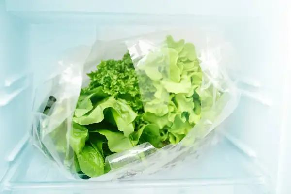 Lechugas frescas en una bolsa plástica dentro de la nevera, un truco para saber como conservar la lechuga en la nevera y que dure más tiempo.