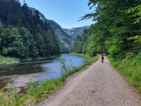 Rowerzystka przemierza malowniczą trasę velo dunajec w otoczeniu gór i lasów.