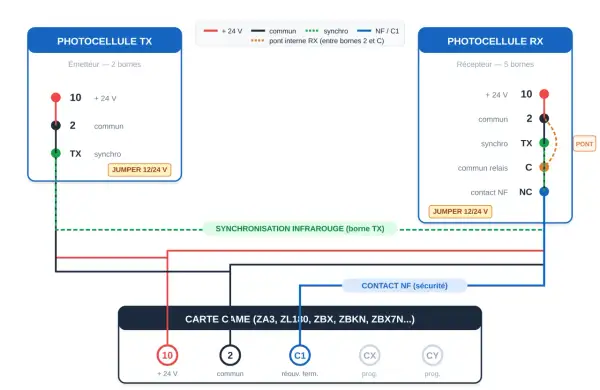Schéma de branchement photocellule portail : émetteur TX et récepteur RX connectés à une carte CAME.