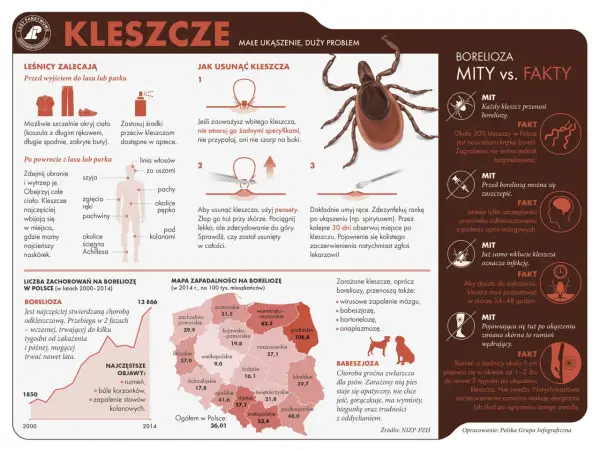 Choroby od kleszcza: Objawy, leczenie, profilaktyka. Co robić?