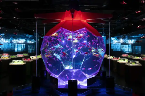 A stunning display of goldfish in a geometric aquarium, part of the immersive art installations found in Japan art museums.