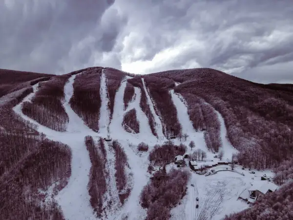 Piste innevate sul monte Zum Zeri, con alberi spogli e cielo nuvoloso.