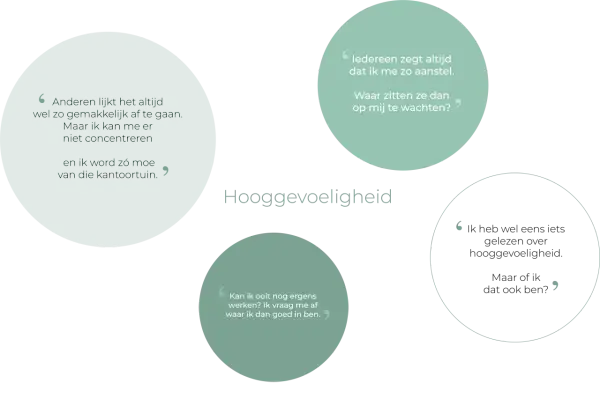 Hooggevoeligheid: "Anderen lijkt het altijd wel zo gemakkelijk af te gaan." Een high sensation seeker die moeite heeft met concentratie.