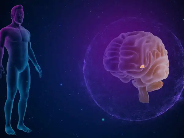 Anatomical illustration showing a human silhouette and a brain. A highlighted area within the brain indicates a torbiel szyszynki.