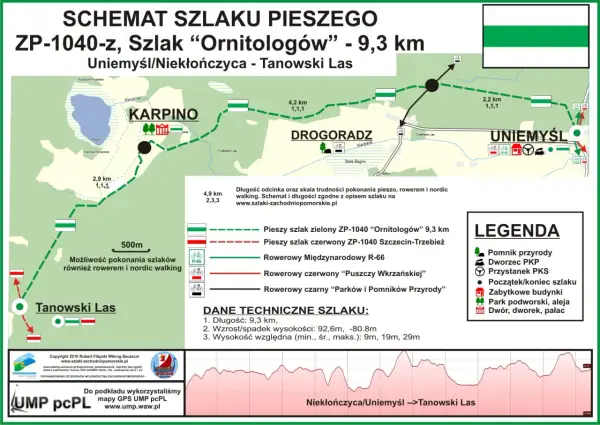 Twój przewodnik: Kajaki Wielkopolska. Trasy, ceny, porady!