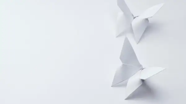 Deux papillons en origami blanc, créés avec un grammage papier origami idéal, flottent sur un fond épuré.