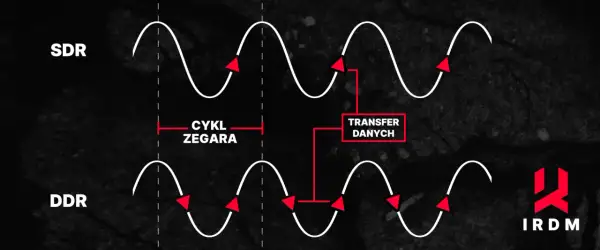 SDR i DDR: porównanie cyklu zegara i transferu danych. MHz co to? To częstotliwość, która określa szybkość.