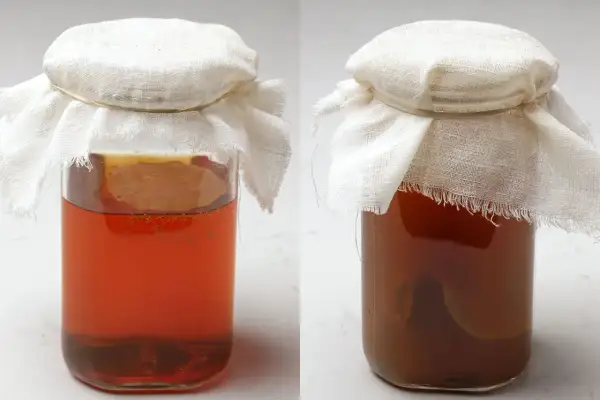 Två glasburkar med egen kombucha, täckta med tyg. Den vänstra burken har en ljusare vätska och synliga bubblor, medan den högra har en mörkare färg.