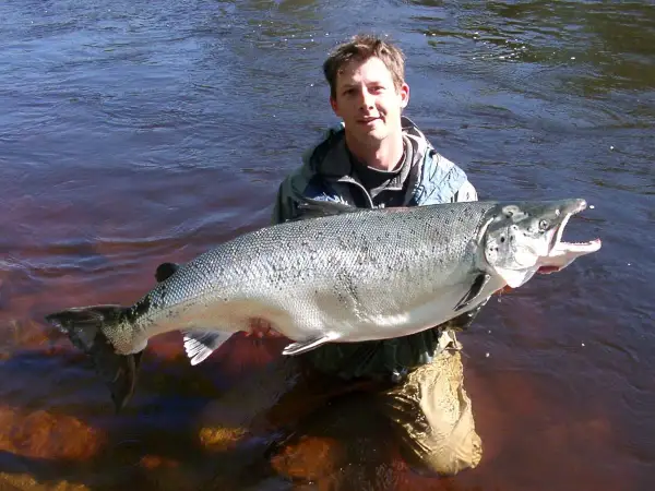 Ein Mann steht im Wasser und hält stolz einen riesigen Lachs, ein Erfolg beim Lachs angeln.