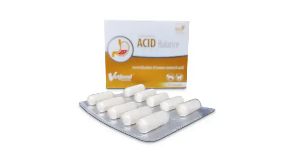 Acid Balance dla psa: zakwaszanie moczu, kamica i infekcje